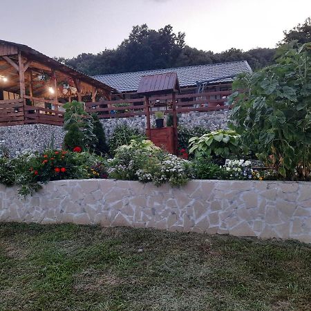 Casa Claudiu Villa Ieşelniţa Kültér fotó