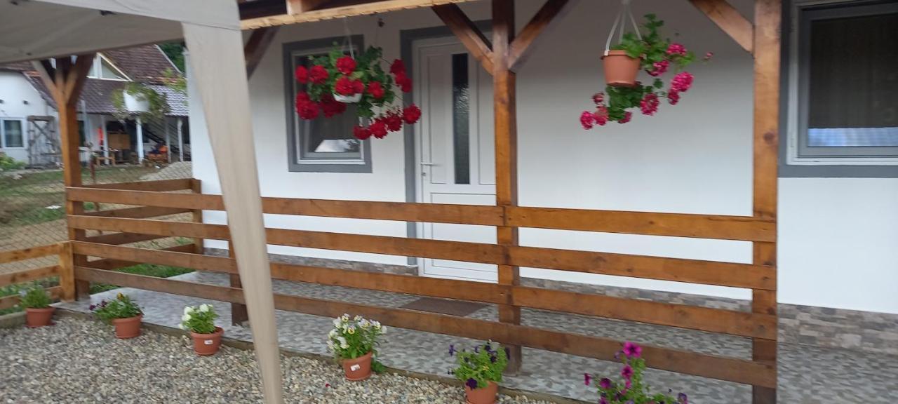 Casa Claudiu Villa Ieşelniţa Kültér fotó
