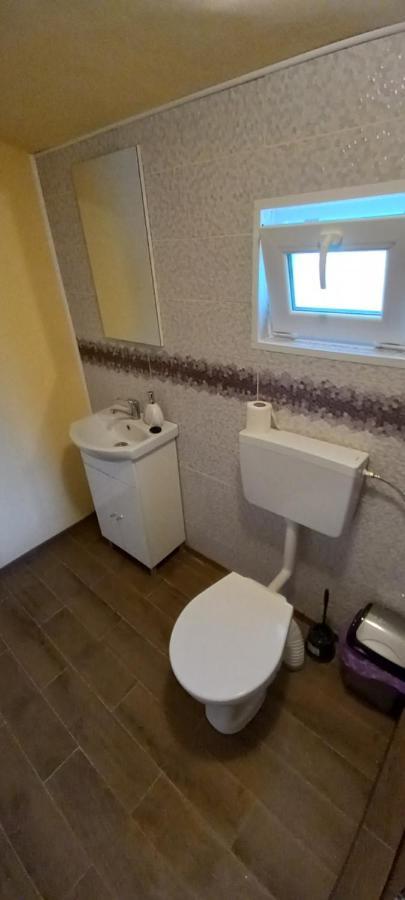 Casa Claudiu Villa Ieşelniţa Kültér fotó
