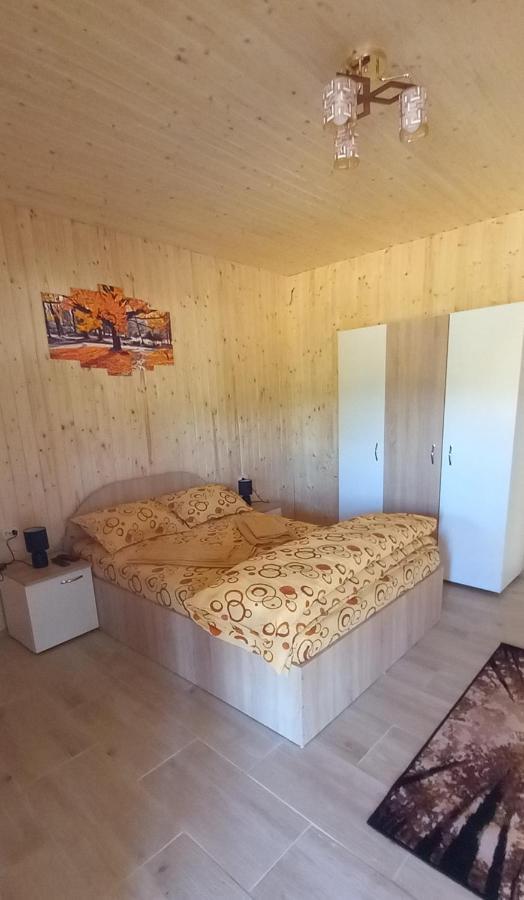 Casa Claudiu Villa Ieşelniţa Kültér fotó