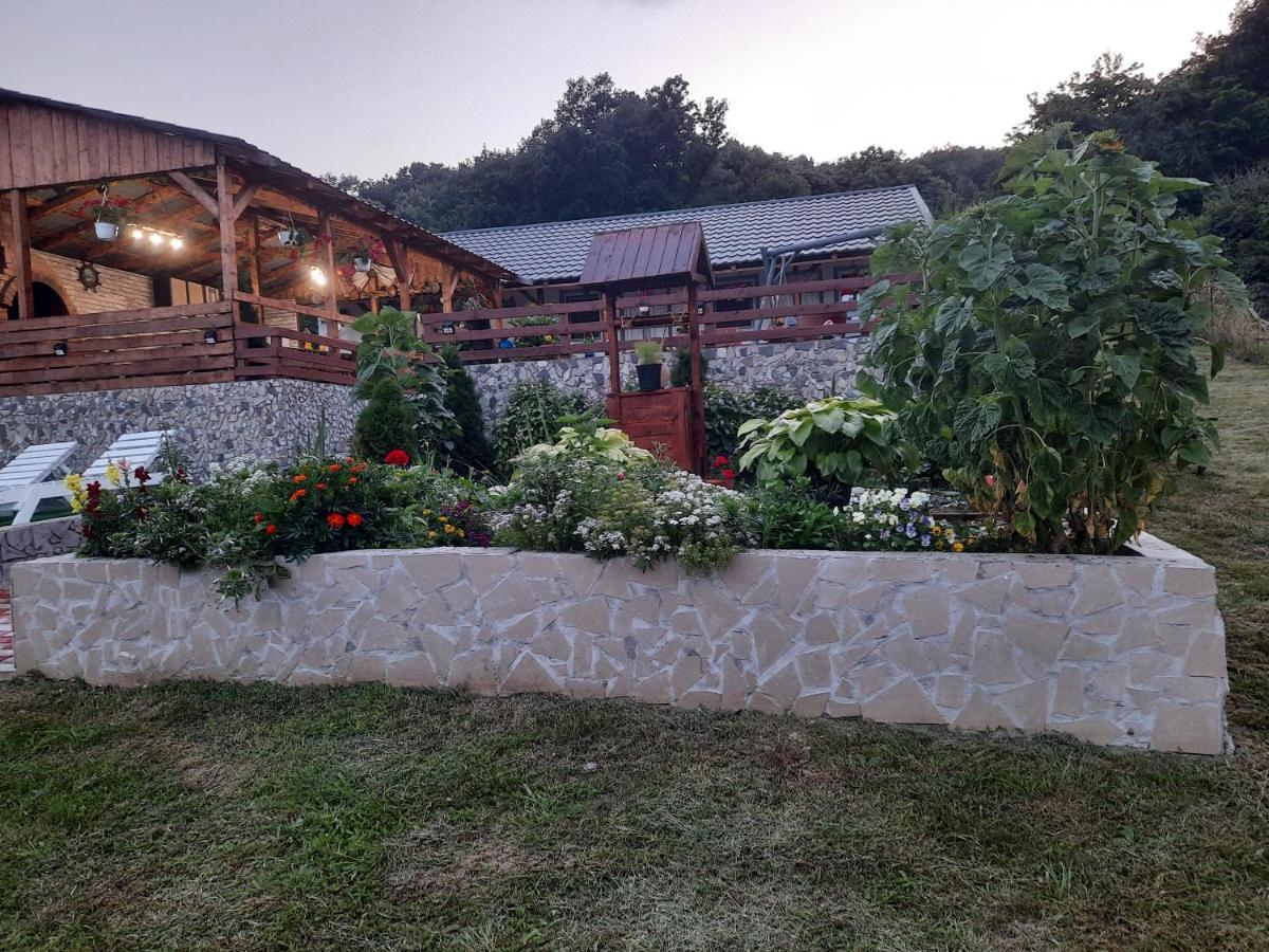 Casa Claudiu Villa Ieşelniţa Kültér fotó